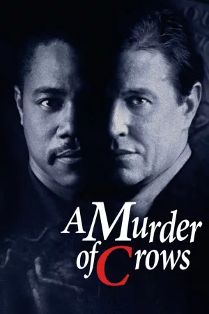 Jaquette : Murder of Crows