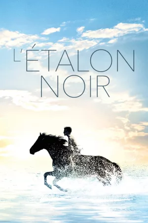 Jaquette : L'Étalon noir