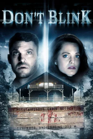 Jaquette : Don't Blink