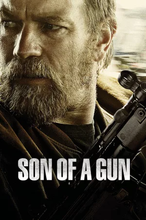 Jaquette : Son of a Gun