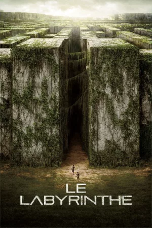 Jaquette : Le Labyrinthe
