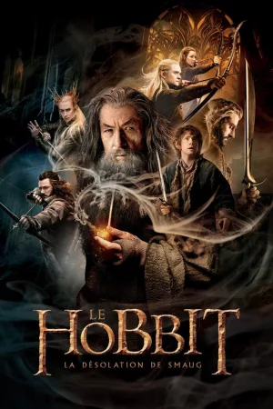 Jaquette : Le Hobbit : La Désolation de Smaug