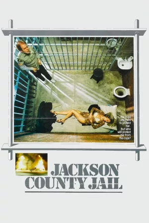 Jaquette : La prison du viol