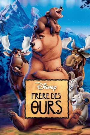 Jaquette : Frère des ours