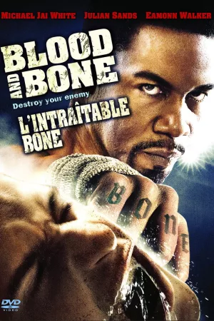 Jaquette : Blood and Bone