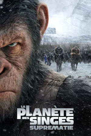 Jaquette : La Planète des singes : Suprématie