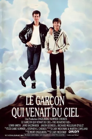 Jaquette : Le Garçon qui venait du ciel