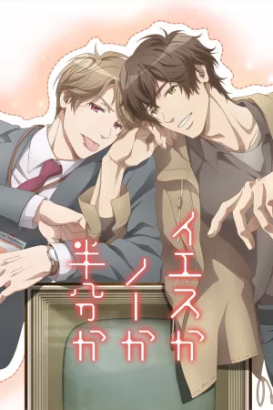 Jaquette : Yes, No, or Maybe ?