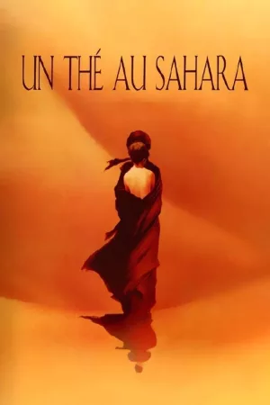 Jaquette : Un thé au Sahara