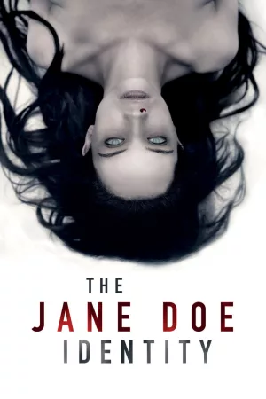 Jaquette : The Jane Doe Identity