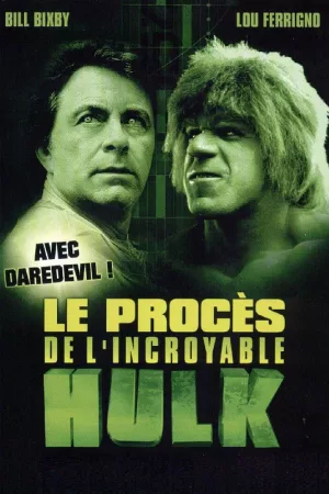 Jaquette : Le Procès de l'incroyable Hulk