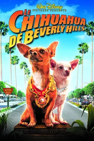 Jaquette : Le Chihuahua de Beverly Hills