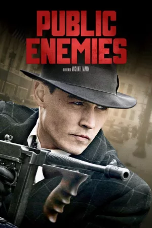 Jaquette : Public Enemies