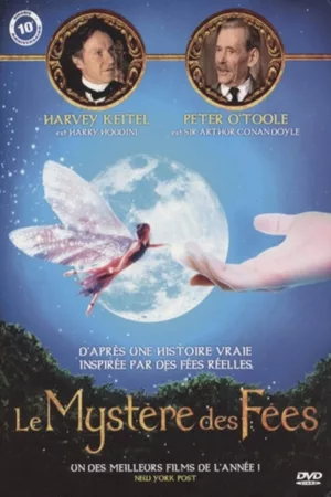 Jaquette : Le Mystère des Fées
