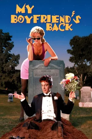 Jaquette : My Boyfriend's Back