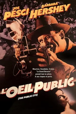 Jaquette : L'Œil public