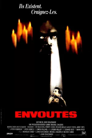 Jaquette : Les envoûtés