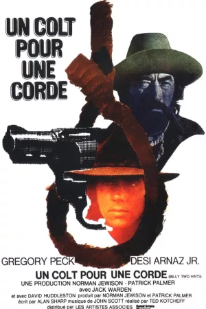 Jaquette : Un Colt pour une corde