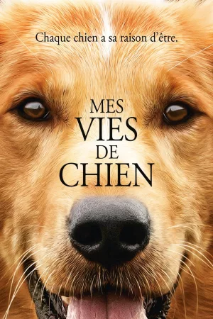 Jaquette : Mes vies de chien