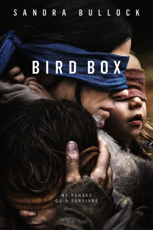 Jaquette : Bird Box