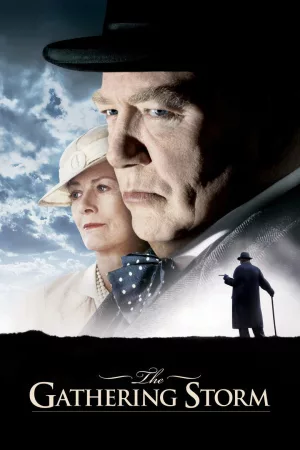 Jaquette : The Gathering Storm