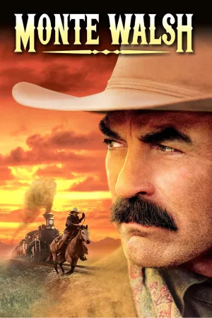 Jaquette : Le Dernier Cow-boy