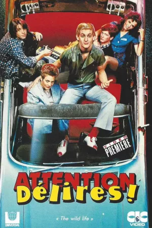 Jaquette : Attention délires !