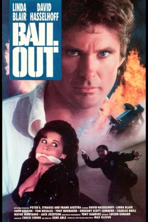 Jaquette : Bail Out