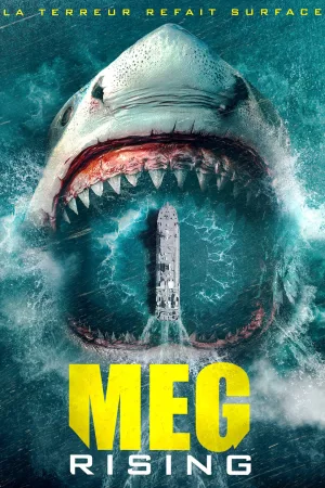 Jaquette : Meg Rising