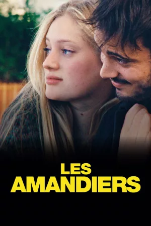 Jaquette : Les Amandiers