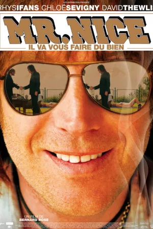 Jaquette : Mr. Nice
