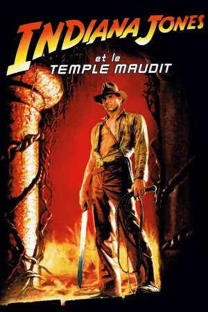 Jaquette : Indiana Jones et le Temple maudit
