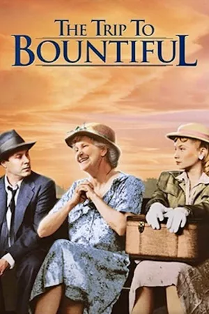 Jaquette : Mémoires du Texas