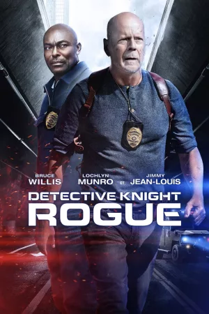 Jaquette : Detective Knight: Rogue