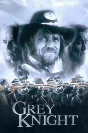 Jaquette : Grey Knight