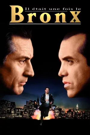 Jaquette : Il était une fois le Bronx