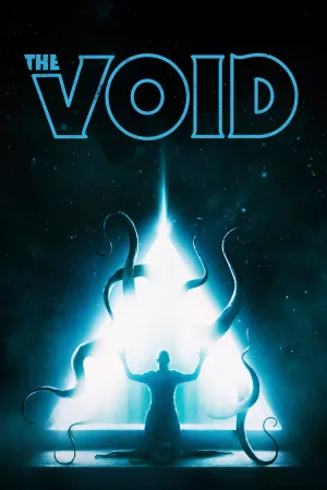 Jaquette : The Void