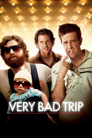 Jaquette : Very Bad Trip
