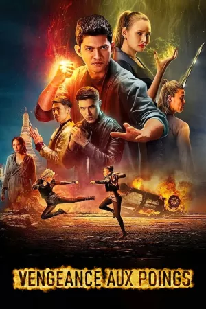 Jaquette : Vengeance aux poings