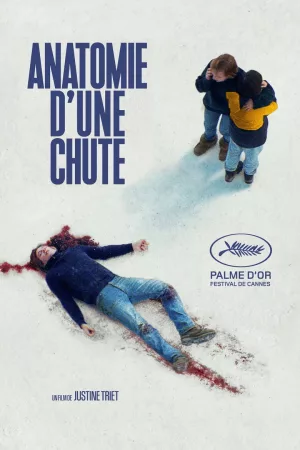 Jaquette : Anatomie d'une chute