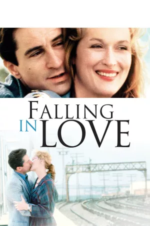Jaquette : Falling in Love