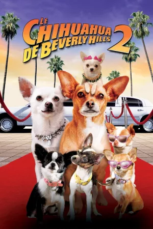 Jaquette : Le Chihuahua de Beverly Hills 2
