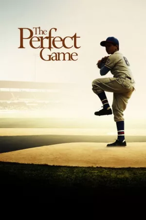 Jaquette : The Perfect Game