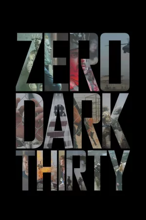 Jaquette : Zero Dark Thirty