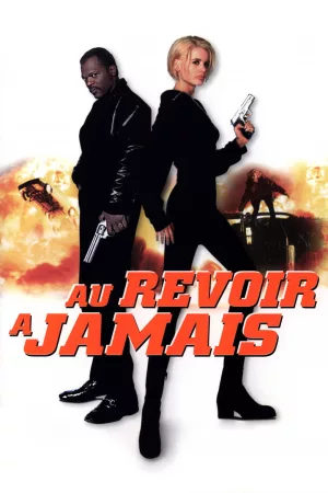 Jaquette : Au Revoir à Jamais