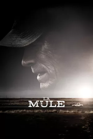 Jaquette : La Mule
