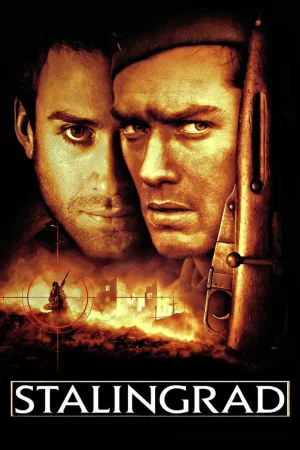 Jaquette : Stalingrad