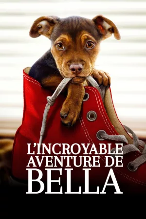 Jaquette : L'Incroyable Aventure de Bella