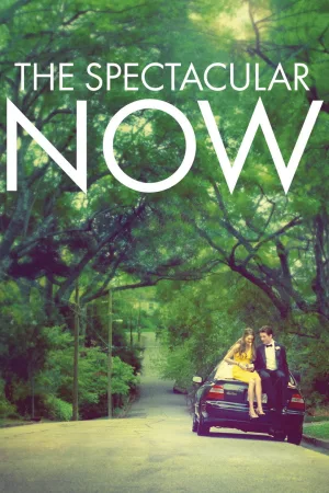 Jaquette : The Spectacular Now