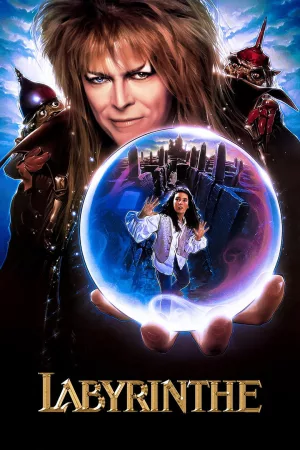 Jaquette : Labyrinthe